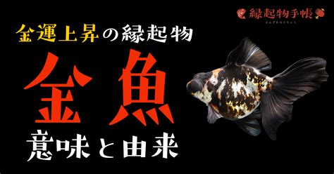 金魚 風水|金魚には金運アップの効果あり！理由や金魚の選び方・飼い方を。